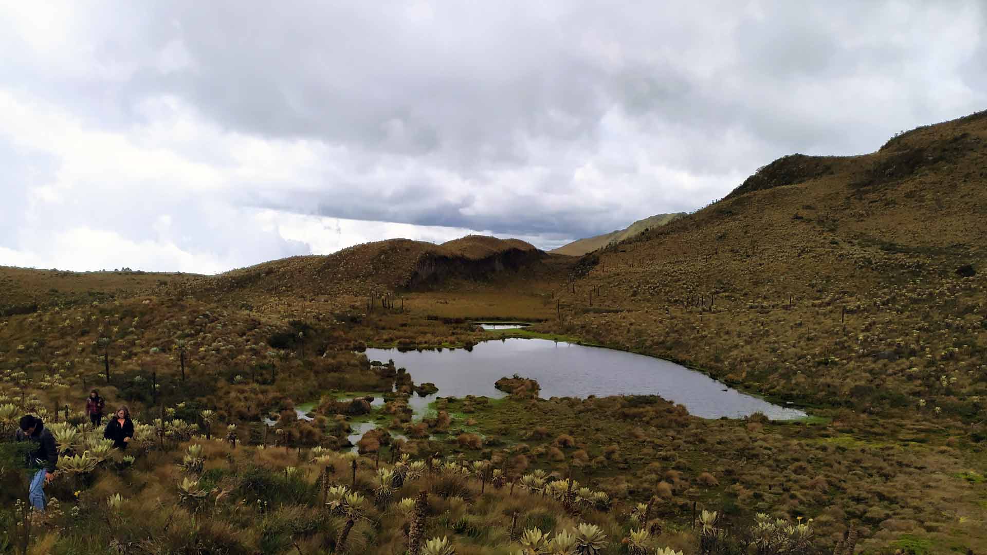Senderismo en páramo cerca a Bogotá – Laguna de las Tapias